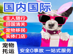 音布鲁克机场快运国际宠物托运 【国