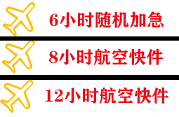 音布鲁克机场快运快递公司,专业空运当天件